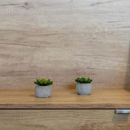 Ivanka Delux By Interhome *